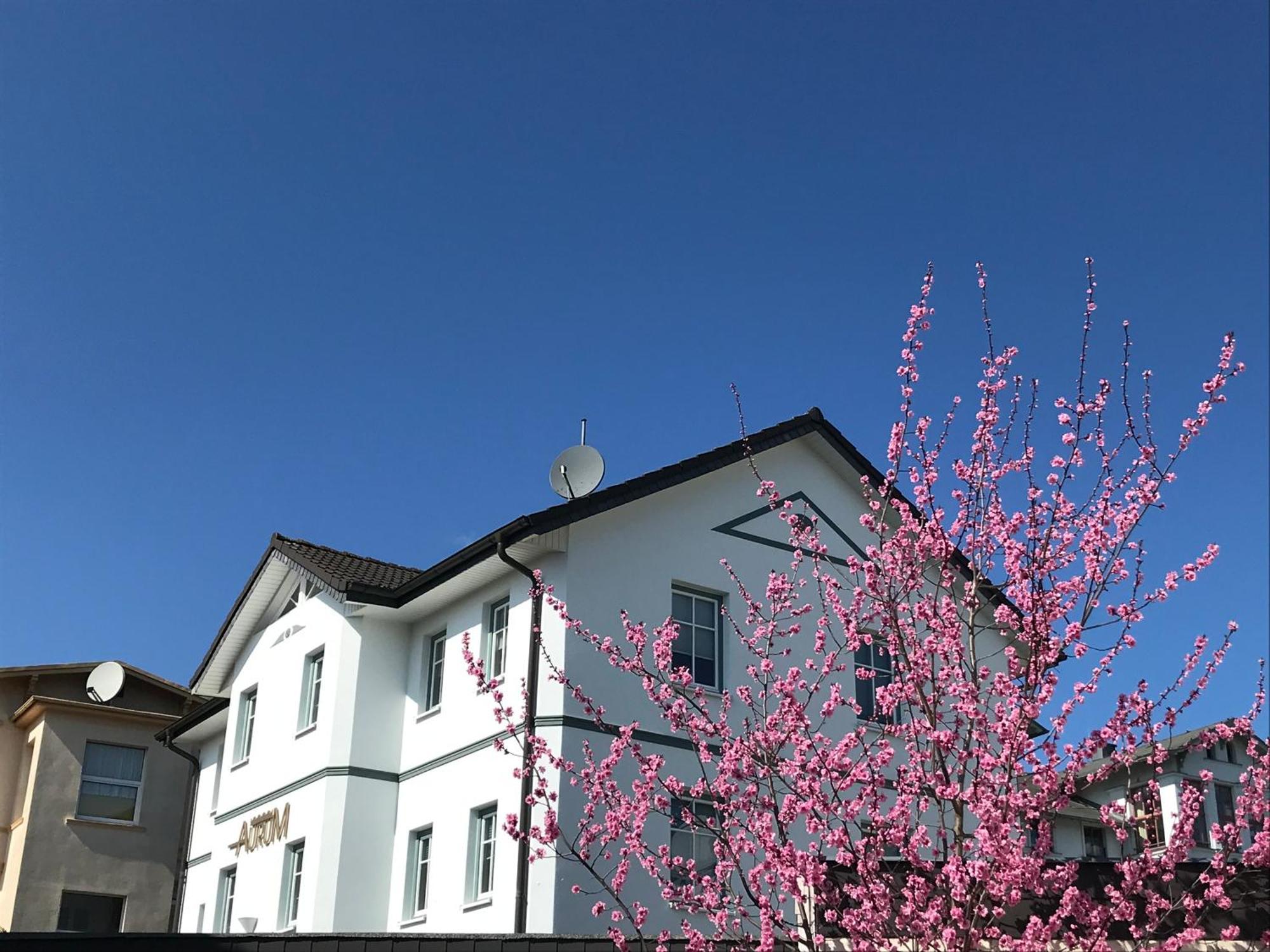 Apartmenthaus Aurum Χέρινγκσντορφ Εξωτερικό φωτογραφία